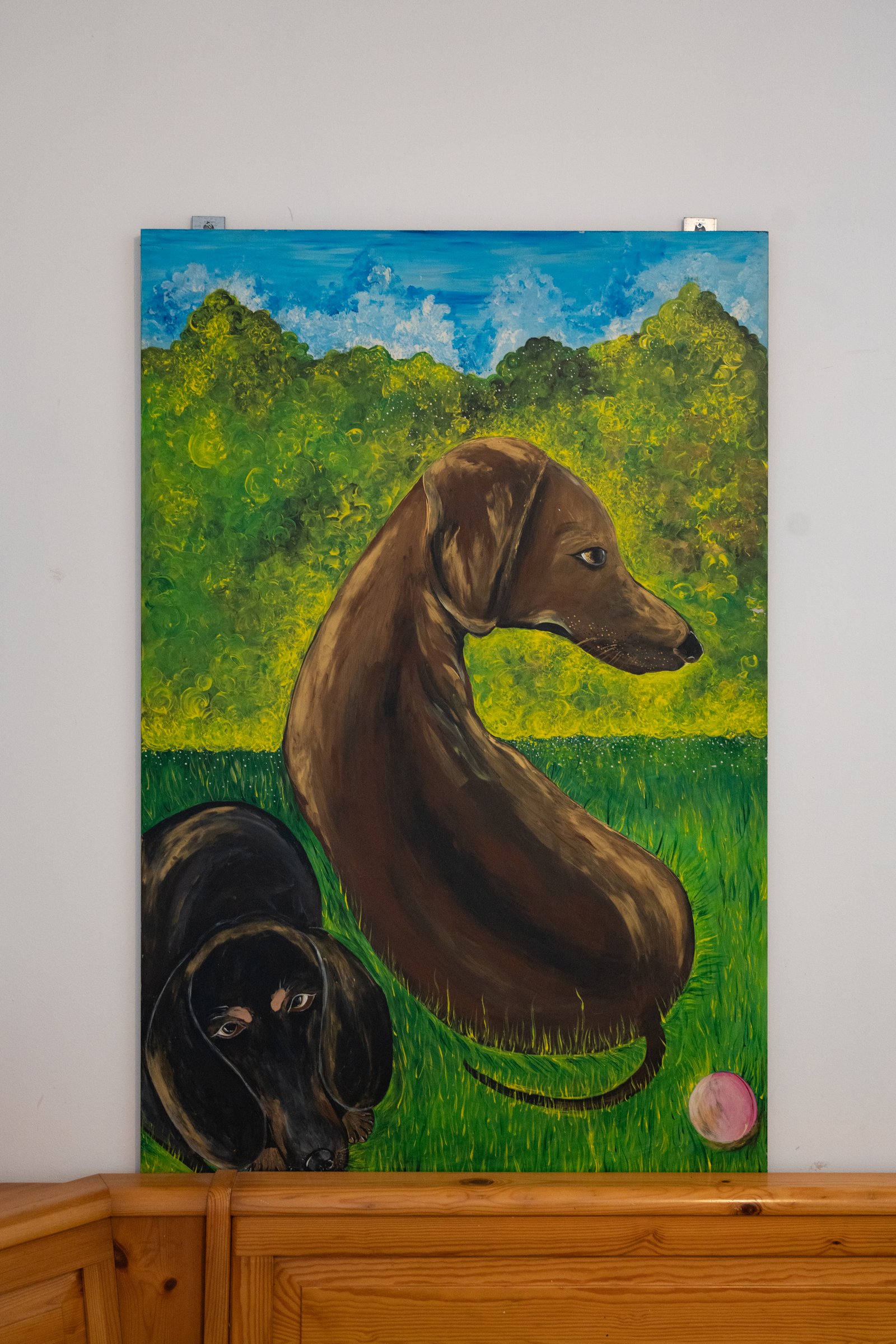 Animals